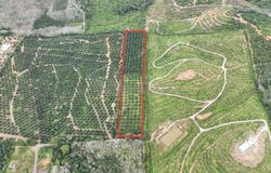 Bentong, Pahang 28740