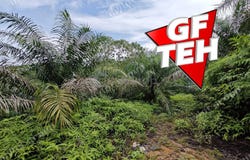 Selama, Perak 34100