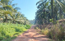 Sungai Siput, Kuala Kangsar, Perak 31100