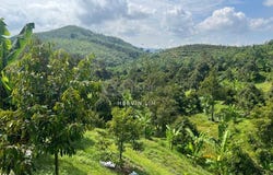 Bentong, Pahang