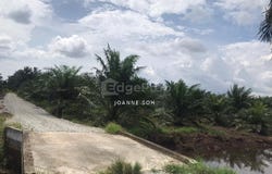 Kuala Langat, Selangor 41200