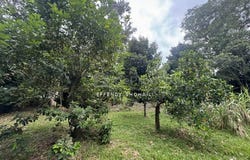 Batang Kali, Selangor 48500