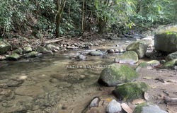 Hulu Langat, Selangor 43100