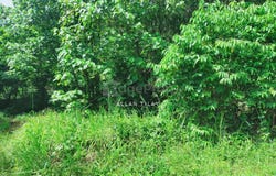 Bentong, Pahang 28700