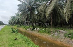 Banting, Selangor 42700