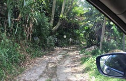 Cameron Highlands, Pahang 39000
