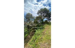 Bentong, Pahang 28700
