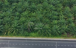 Jenjarom, Selangor 42500