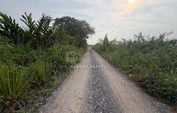 Klang, Selangor 41200