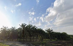 Kuala Langat, Selangor 42700