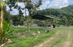 Bentong, Pahang 28700