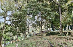 Kulim, Kedah 9000