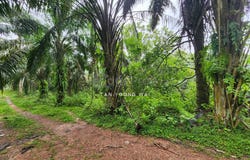 Jalan DPP, Gombak, Selangor 48100