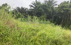 Johor Bahru, Johor