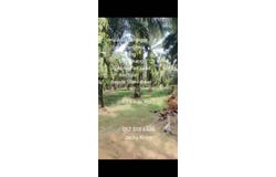 Telok Panglima Garang, Selangor 42500