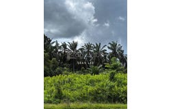 Jalan Seelong, Senai, Johor