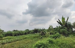 Klang, Selangor 41200