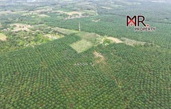 Sungai Petani, Kedah