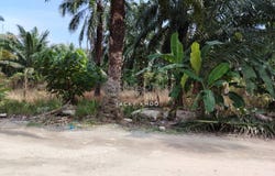 Telok Panglima Garang, Selangor 42500