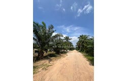 Banting, Selangor 42700