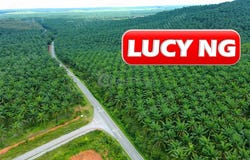 Sungai Petani, Kedah 08000