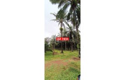 Padang Serai, Kedah 9010