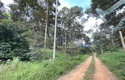 Hulu Perak, Perak 33400