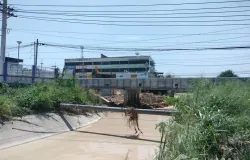ถนนสุขุมวิท, มาบตาพุด, ทับมา, อำเภอเมืองระยอง, จังหวัดระยอง, 21150, ประเทศไทย, ระยอง,
