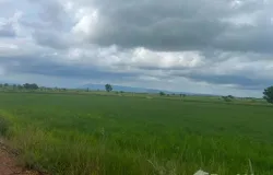 ถนน สุวรรณศร, ปากพลี, นครนายก, 26130 ประเทศไทย, ปากพลี,