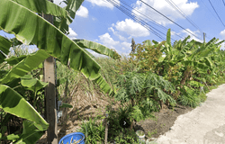 วนิชชัย ออโต้ คาร์ส, 306, บ้านใหม่, ปทุมธานี, 12000 ประเทศไทย, ปทุมธานี,