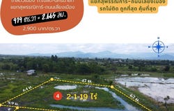 ซอย สามัคคีพัฒนา, พรหมณี, นครนายก, 26000 ประเทศไทย, นครนายก,