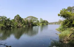 เวสเทิร์น ยูเนี่ยน, ทางหลวงชนบท ลพ. 3003, บ้านโฮ่ง, ลำพูน, 51130 ประเทศไทย, บ้านโฮ่ง,