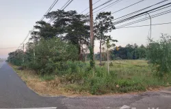 ป่าติ้ว, ยโสธร, 35150 ประเทศไทย, ป่าติ้ว,