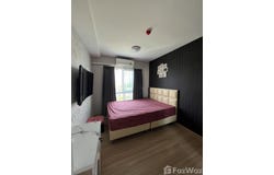 The Fire Bear, Talat Bang Khen, Lak Si, Bangkok, 10210 Thailand, Lak Si,