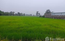 ถนน ชยางกูร, สามแยก, เลิงนกทา, ยโสธร, 35120 ประเทศไทย, เลิงนกทา,