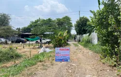 ถนนติวานนท์, บ้านคลองบ้านใหม่, ตำบลบ้านใหม่, เทศบาลตำบลบ้านใหม่, อำเภอเมืองปทุมธานี, จังหวัดปทุมธานี, 12000, ประเทศไทย, ปทุมธานี,
