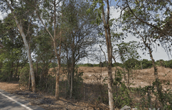 บ.หนองชะอม, ถนน สุวรรณศร, โคกไม้ลาย, ปราจีนบุรี, 25230 ประเทศไทย, ปราจีนบุรี,
