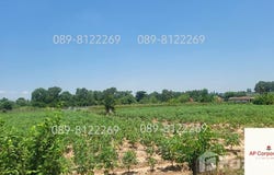 เนินสวรรค์-โชคดี, บ่อกวางทอง, บ่อทอง, ชลบุรี, 20270 ประเทศไทย, บ่อทอง,