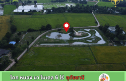 ถนน รพช. อน. 3053, หนองไผ่, หนองขาหย่าง, อุทัยธานี, 61130 ประเทศไทย, หนองขาหย่าง,