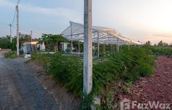 ซอย นางตะเคียน 1, นางตะเคียน, สมุทรสงคราม, 75000 ประเทศไทย, สมุทรสงคราม,