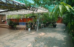 Mae-O, Khlong Kum, Bueng Kum, Bangkok, 10230 Thailand, Bueng Kum,