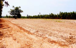 ทางหลวงชนบท มห. 5004, บางทรายน้อย, หว้านใหญ่, มุกดาหาร, 49150 ประเทศไทย, หว้านใหญ่,