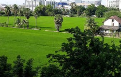Thaesaban Soi 11 Road, Bang Rak Phatthana, Bang Bua Thong, Nonthaburi, 11110 Thailand, Bang Bua Thong,
