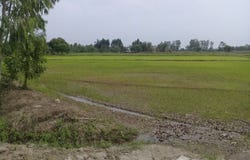 คอลลี่ ลักซ์, วังกระโจม, นครนายก, 26000 ประเทศไทย, นครนายก,