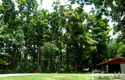 คาเฟ่ซอซุลลา, บ้านโคก, มุกดาหาร, 49000 ประเทศไทย, มุกดาหาร,