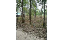 สุนทรภู่, อำเภอแกลง, จังหวัดระยอง, ประเทศไทย, แกลง,