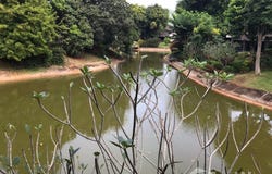 Wood Park Home Resort, Musi, Pak Chong, Nakhon Ratchasima, 30130 Thailand, Pak Chong,