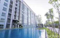 Thaesaban Soi 11 Road, Bang Rak Phatthana, Bang Bua Thong, Nonthaburi, 11110 Thailand, Bang Bua Thong,