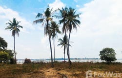 เพิ่มเนื้อสด, บุ่ง, อำนาจเจริญ, 37000 ประเทศไทย, อำนาจเจริญ,