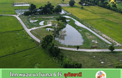 ถนน รพช. อน. 3053, หนองไผ่, หนองขาหย่าง, อุทัยธานี, 61130 ประเทศไทย, หนองขาหย่าง,